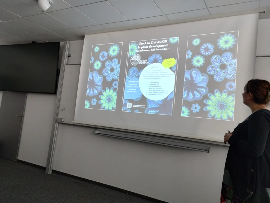 Petra Marhava - presentation 2